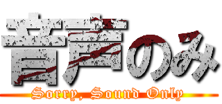 音声のみ (Sorry, Sound Only)