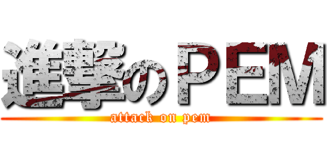 進撃のＰＥＭ (attack on pem)