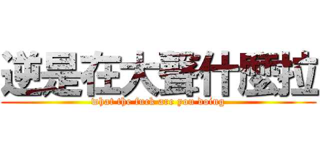 逆是在大聲什麼拉 (what the fuck are you doing)