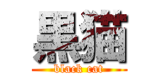 黒猫 (black cat)