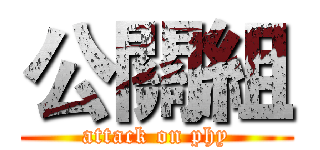 公關組 (attack on phy)