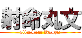 射命丸文 (attack on Bunya)