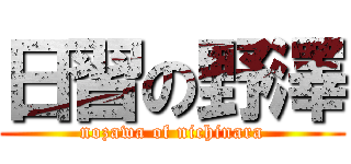 日習の野澤 (nozawa of nichinara)