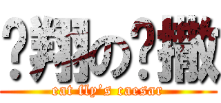 吔翔の凯撒 (eat fly’s caesar)