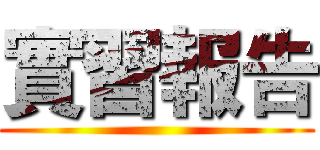 實習報告 ()