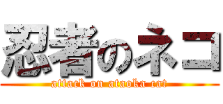 忍者のネコ (attack on ataoka cat)