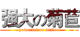 强大の菊苣 ( powerful on witloof)