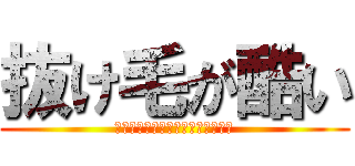 抜け毛が酷い (かなりショック！！耐えられない！)