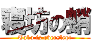 寝坊の蛸 (Tako is overslept)