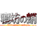 寝坊の蛸 (Tako is overslept)