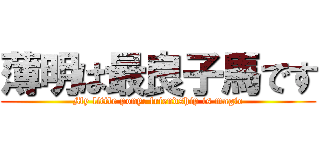 薄明は最良子馬です (My little pony: friendship is magic)