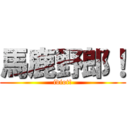 馬鹿野郎！ (idiot!)