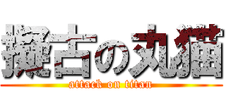 擬古の丸猫 (attack on titan)