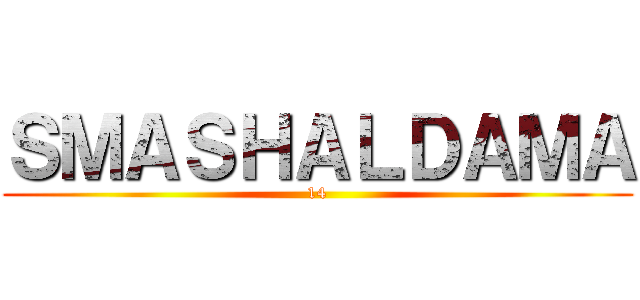 ＳＭＡＳＨＡＬＤＡＭＡ (14)