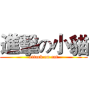 進擊の小貓 (attack on cat)