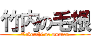 竹内の毛根 (Takeuchi no mouton)
