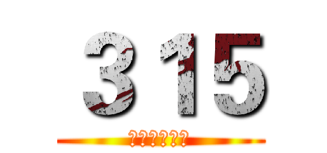 ３１５ (我自豪我骄傲)