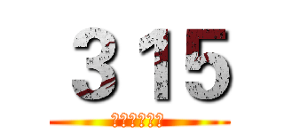 ３１５ (我自豪我骄傲)