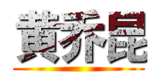 黄乔昆 ()