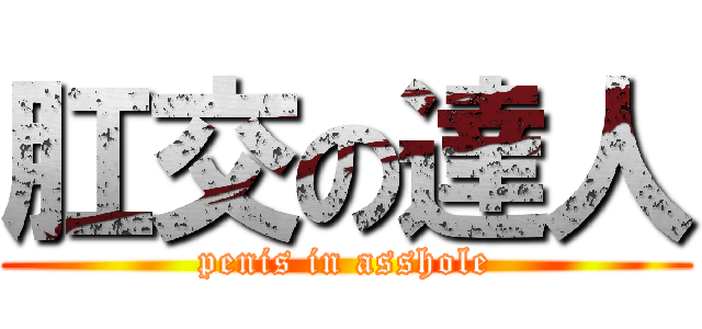 肛交の達人 (penis in asshole)