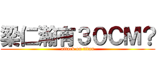 梁仁瀚有３０ＣＭ？ (attack on titan)