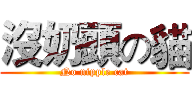 沒奶頭の貓 (No nipple cat)