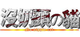 沒奶頭の貓 (No nipple cat)