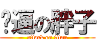 傻逼の胖子 (attack on titan)