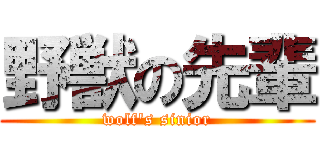 野獣の先輩 (wolf\'s sinior)
