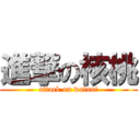 進撃の核桃 (attack on walnut)