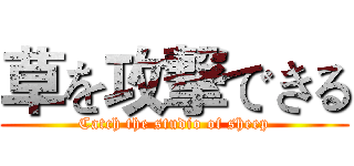 草を攻撃できる (Catch the studio of sheep)