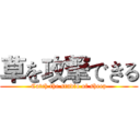 草を攻撃できる (Catch the studio of sheep)