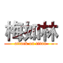 梅如林 (attack on titan)