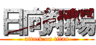 日向翔陽 (attack on titan)