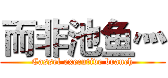而非池鱼灬 (Cassel executive branch)
