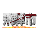 飛騨市 (Hida City)