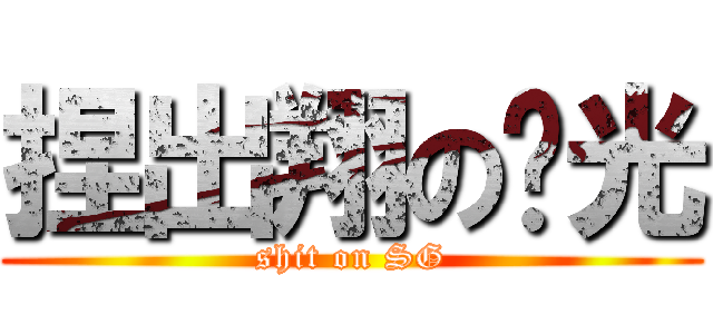 捏出翔の闪光 (shit on SG)