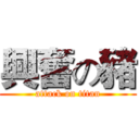 興奮の豬 (attack on titan)