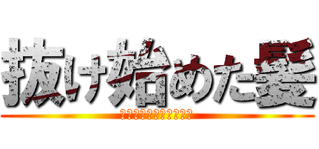 抜け始めた髪 (パスワード解除してみろ)