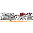進擊の朱雀 (attack on titan)