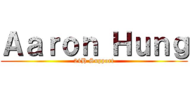 Ａａｒｏｎ Ｈｕｎｇ (24H Support)