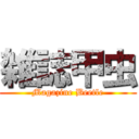 雑誌甲虫 (Magazine Beetle)