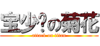宝少爷の菊花 (attack on titan)