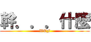 幹．．．什麼 (WTF)