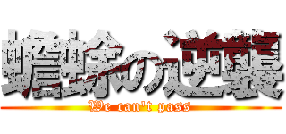 蟾蜍の逆襲 (We can\'t pass)