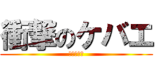 衝撃のケバエ (巨大ミミズ)