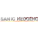 ＳＡＮＩＣ ＨＥＤＧＥＨＯＧ (GOTTA GO FAST)