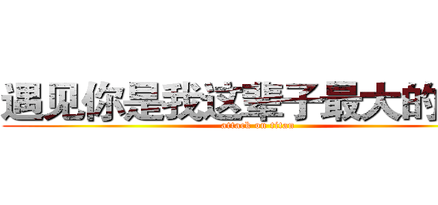 遇见你是我这辈子最大的幸运 (attack on titan)