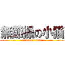 無節操の小猫 (attack on neko)