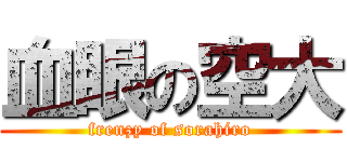 血眼の空大 (frenzy of sorahiro)